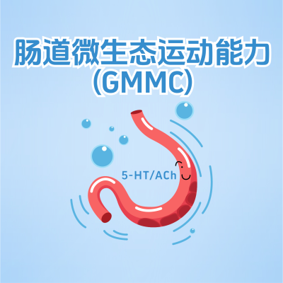 什么是“腸道微生態運動能力”？